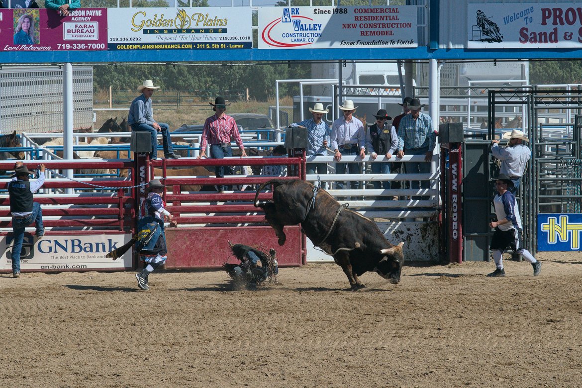Bull kicking at fallen rider, lamar rodeo photographed by luxagraf