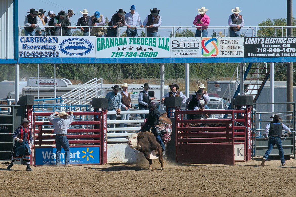 bull riding at the lamar rodeo photographed by luxagraf