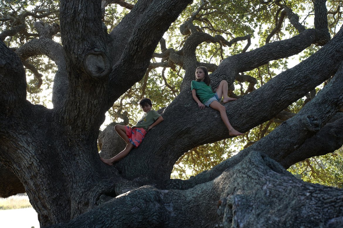 kids climbing on a tree near the big tree goose island state park photographed by luxagraf