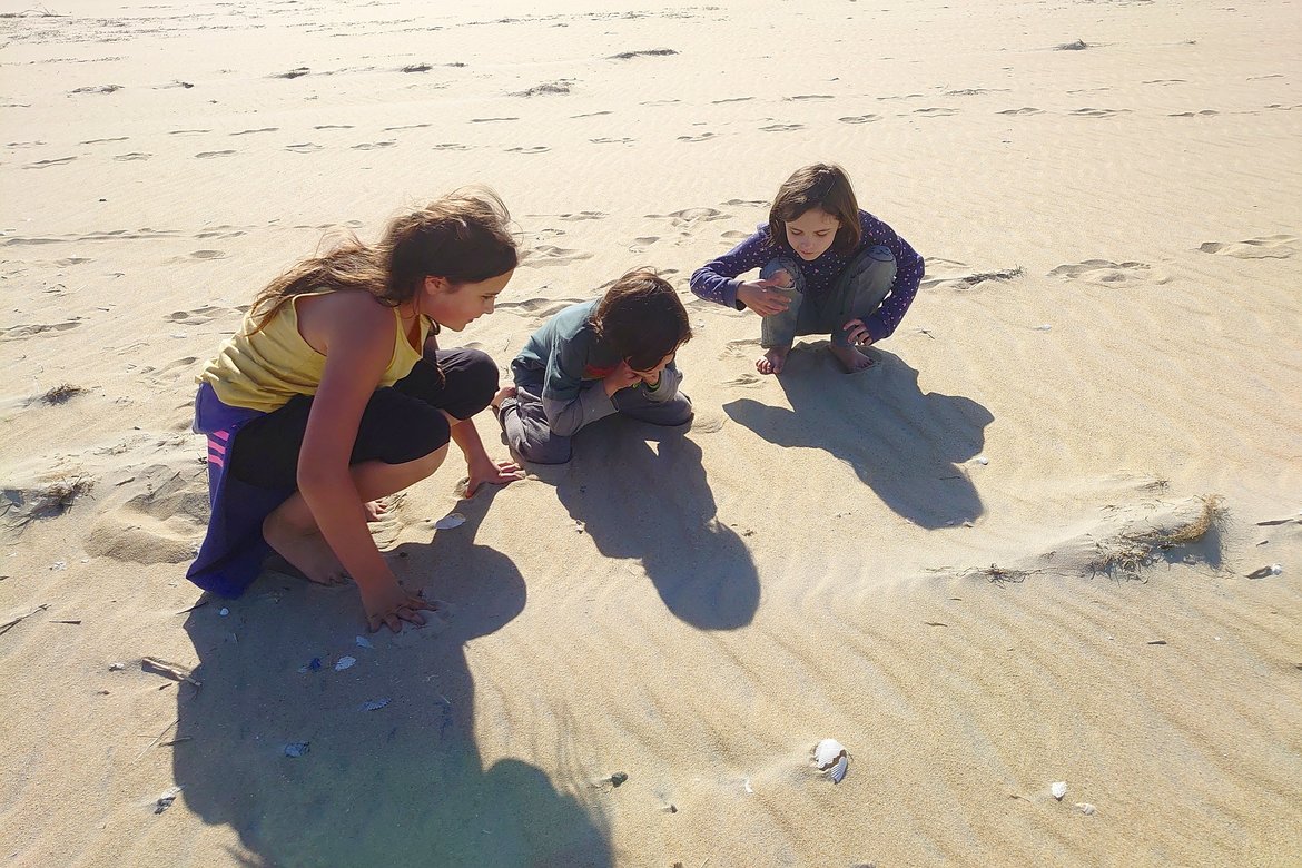 kids looking at a dried up seahorse, oregon inlet, north carolina photographed by luxagraf