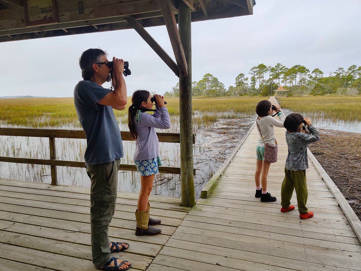 birdwatching on the marsh, hunting island, sc photographed by luxagraf
