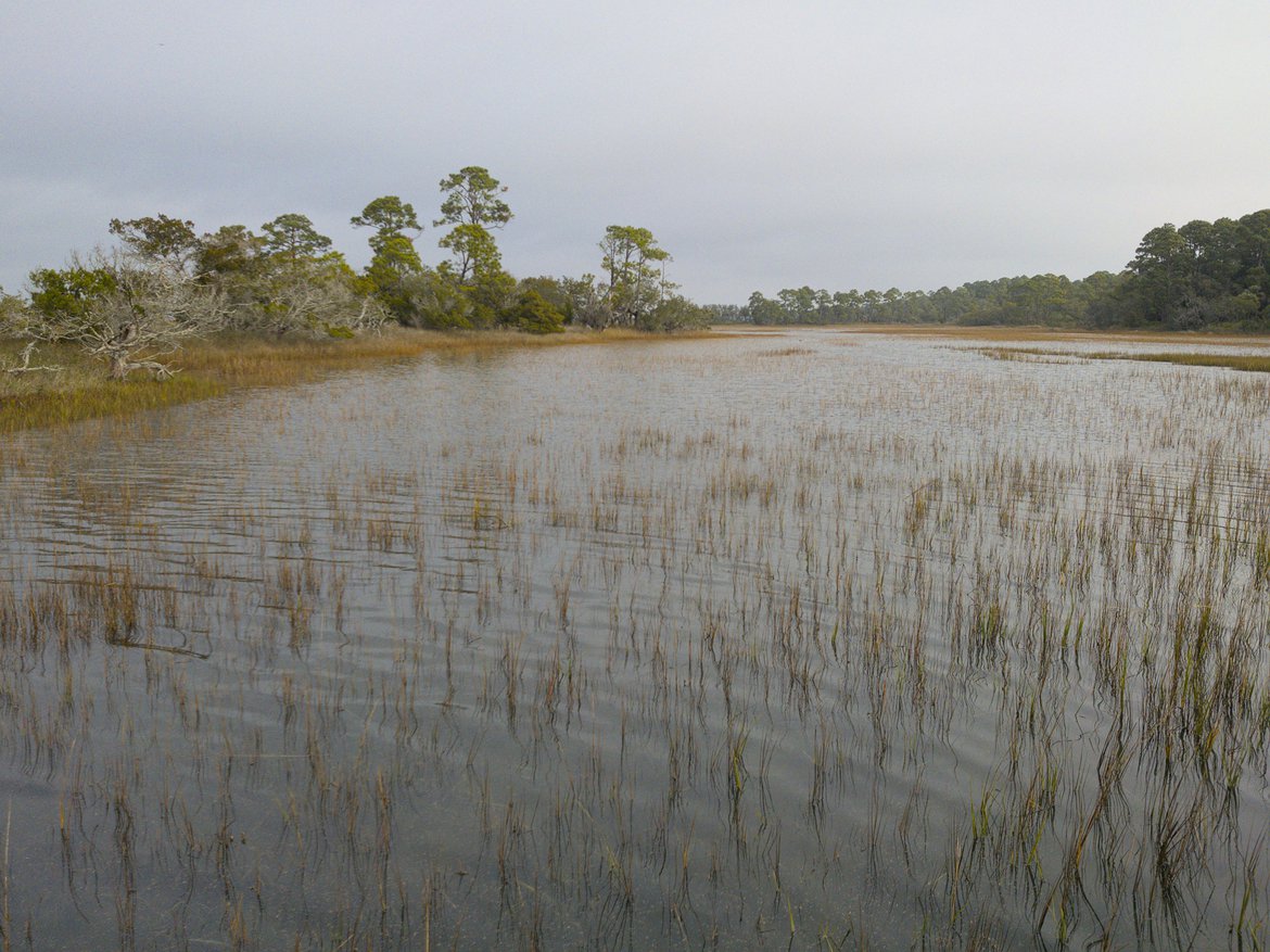 Marsh near hunting island sc photographed by luxagraf