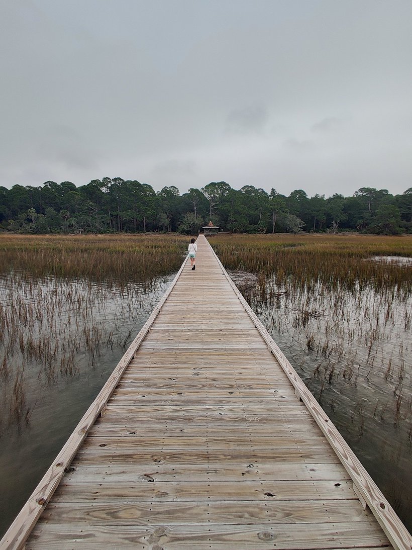 marsh boardwalk, hunting island, sc photographed by luxagraf