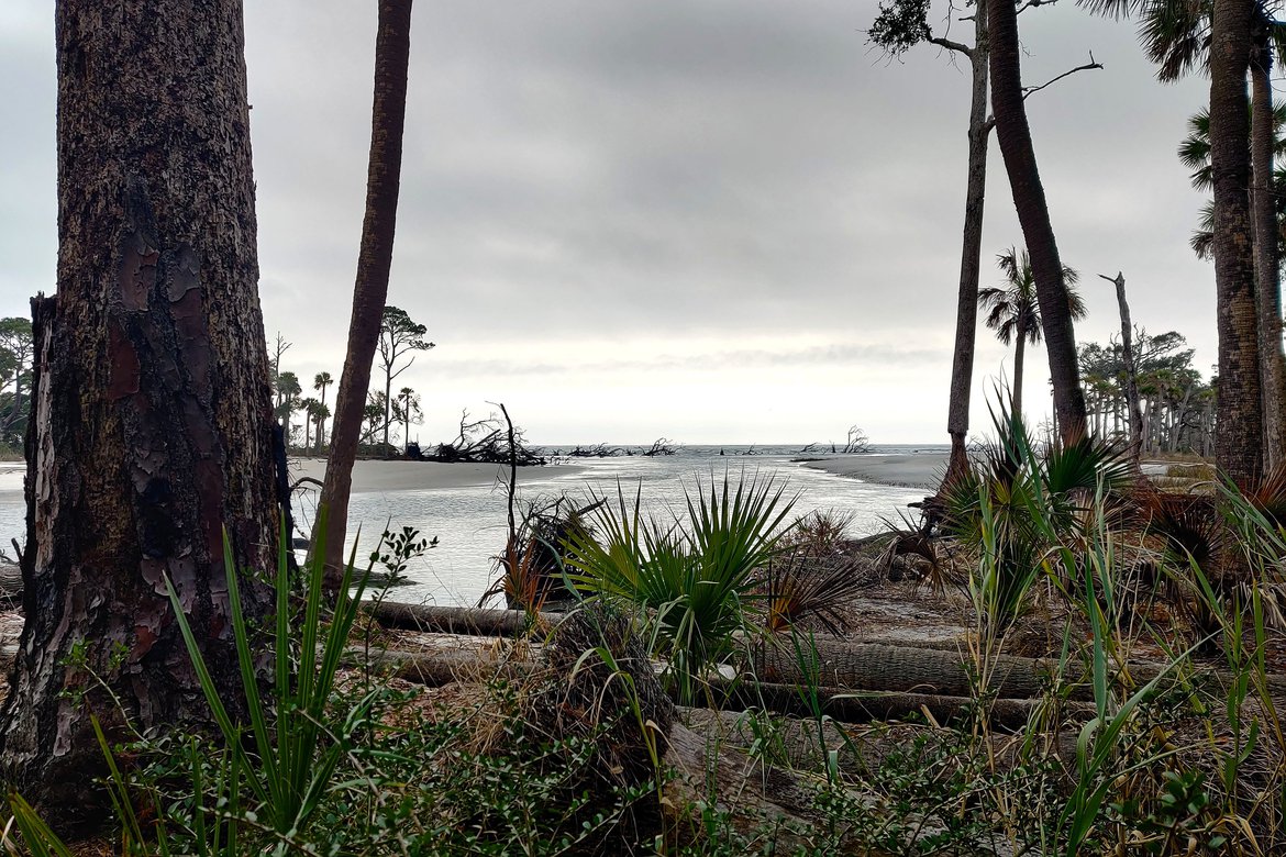 Lagoon, hunting island, sc photographed by luxagraf