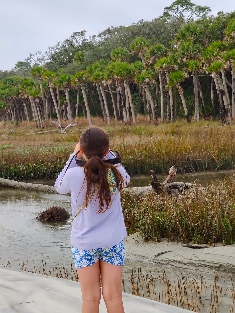 girl birdwatching in marsh, hunting island, sc photographed by luxagraf