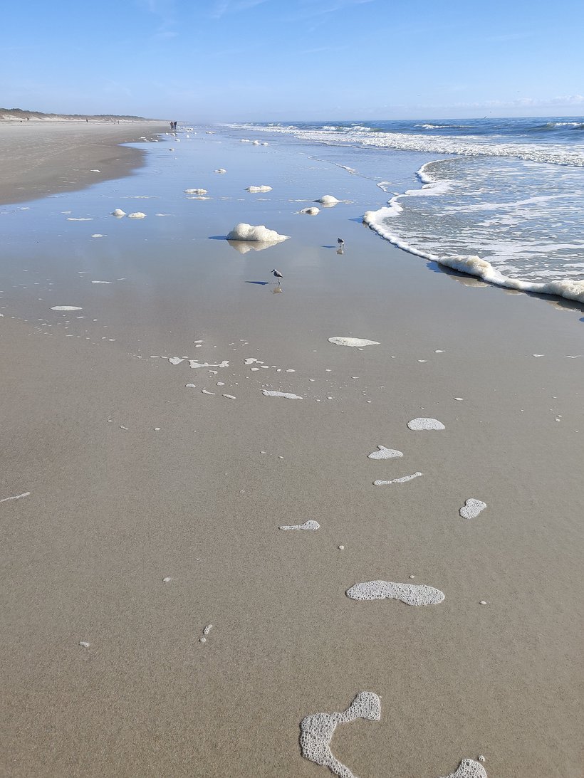 Sea foam, Huntington Beach State Park, SC photographed by luxagraf
