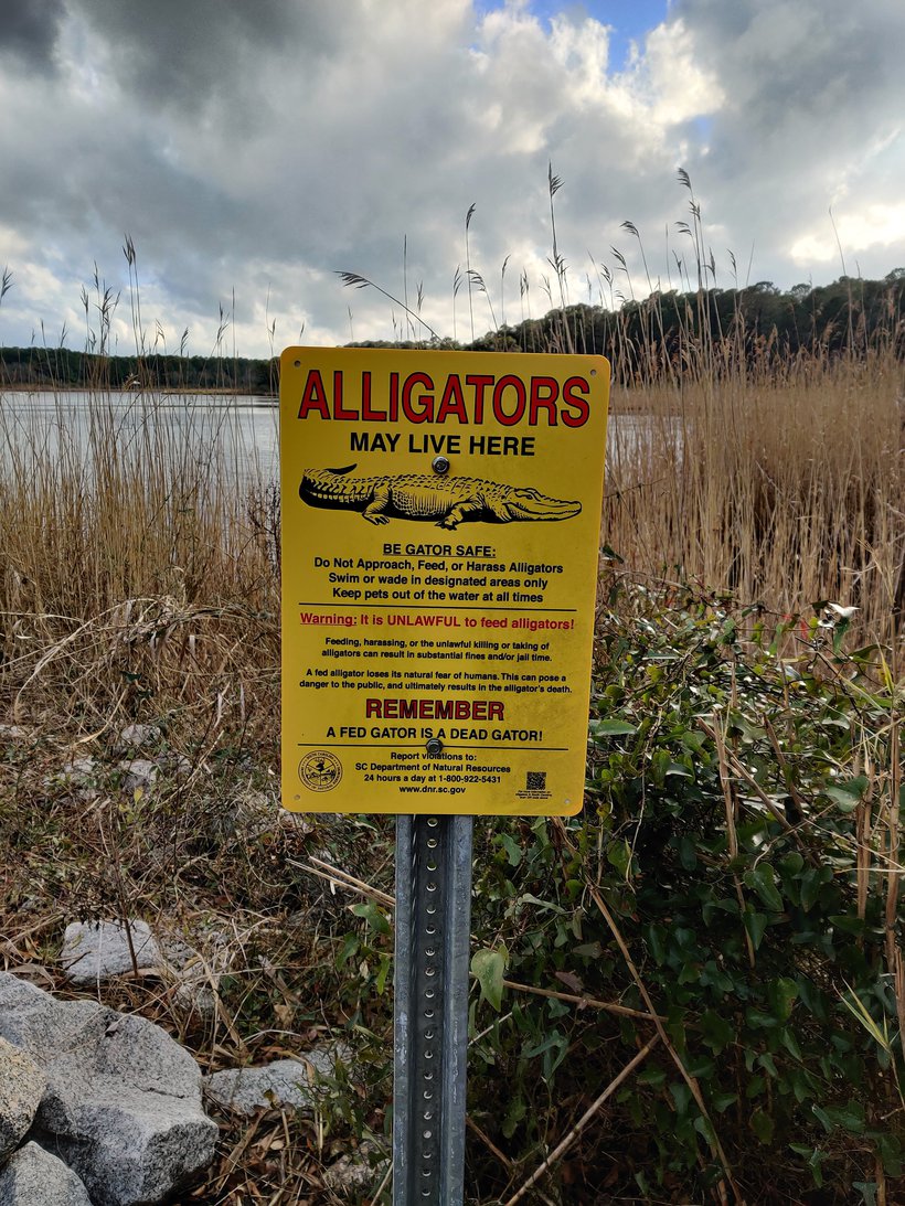 sign saying aligators here, huntington beach state park, sc photographed by luxagraf