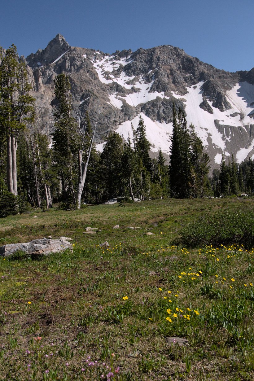 Meadow near Holly Lake, Grand Tetons photographed by luxagraf