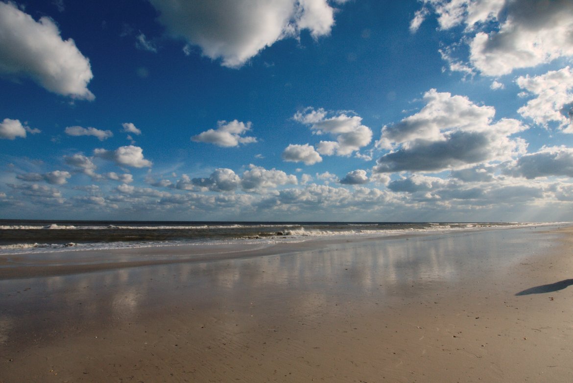 beach at st george island photographed by luxagraf