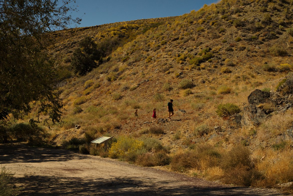 Fossil hunting in the California hills. photographed by luxagraf