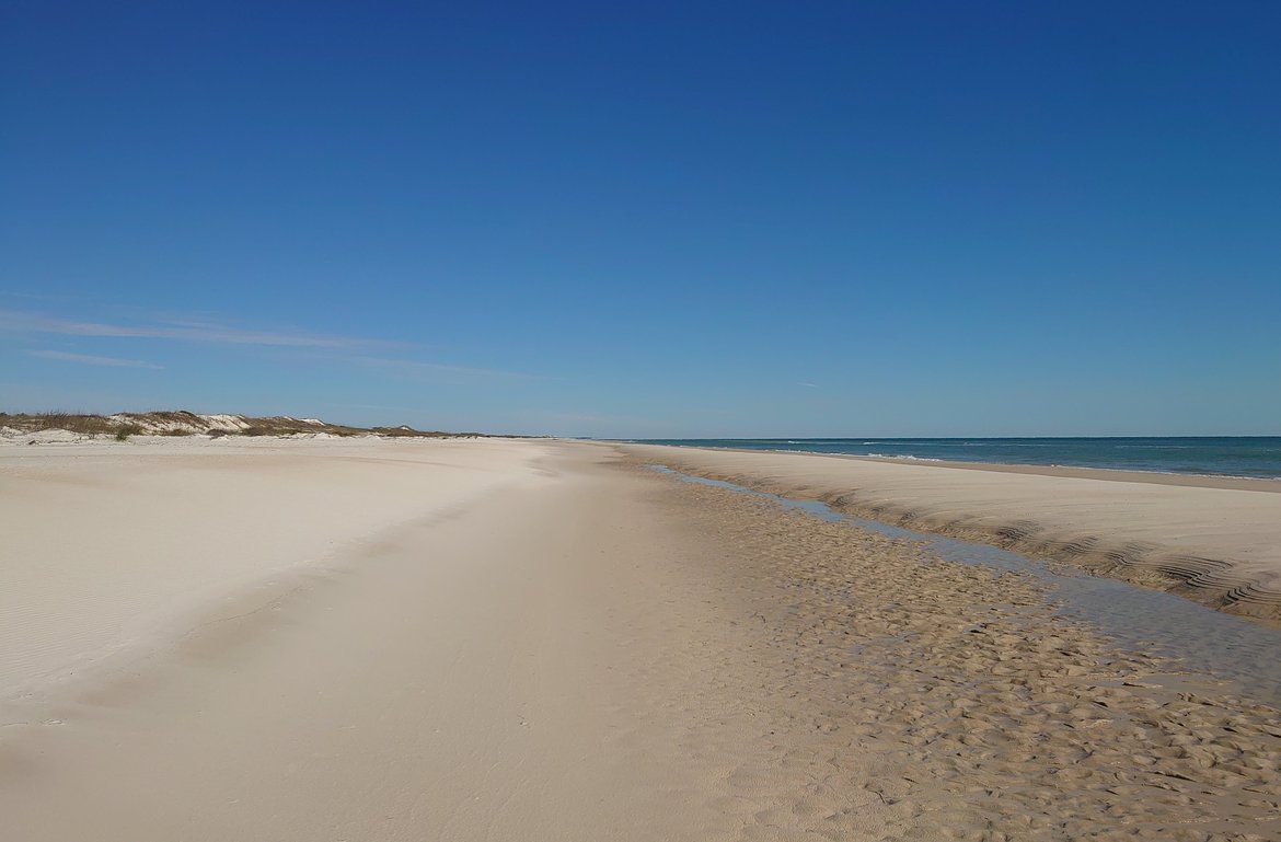 the beach at st george island photographed by luxagraf