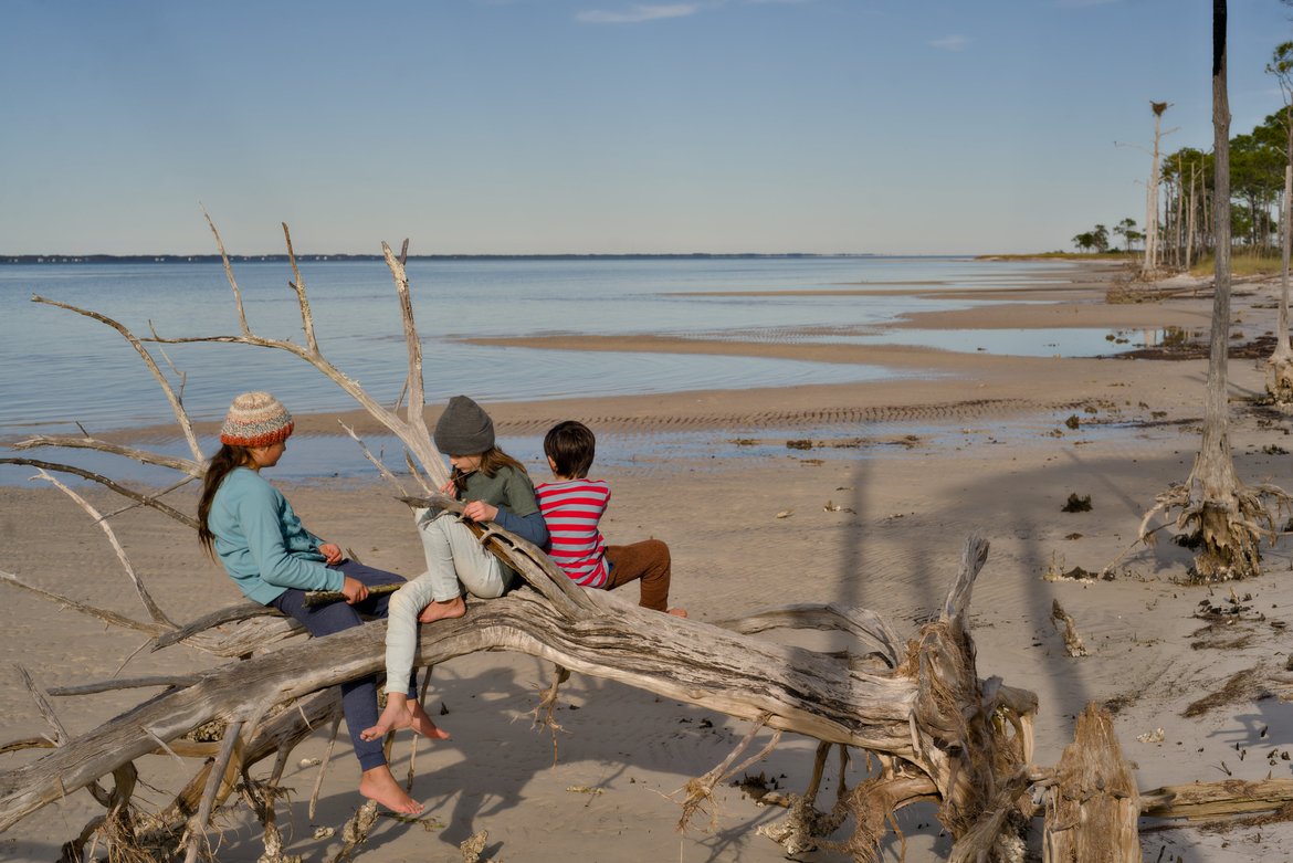 kids sitting in the dead tree on the beach, Apalachicola bay photographed by luxagraf