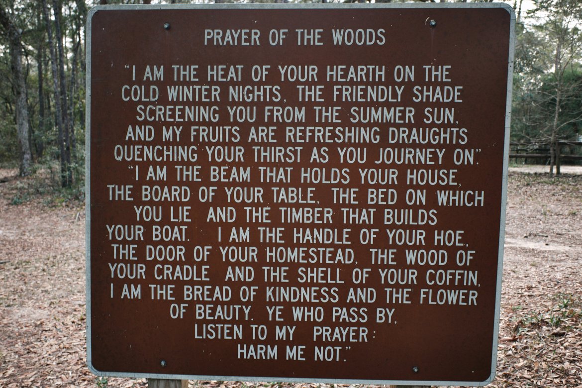 prayer of the woods sign photographed by luxagraf