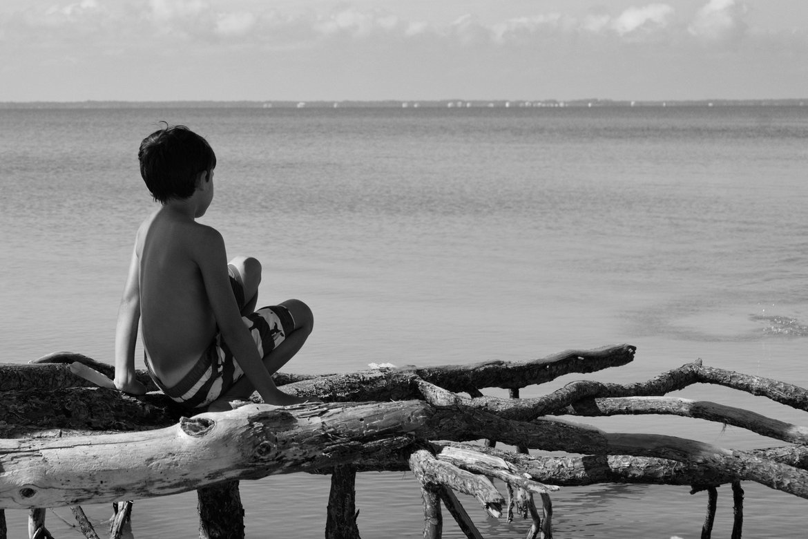 black and white image of a boy sitting on pine roots staring out at st george sound photographed by luxagraf