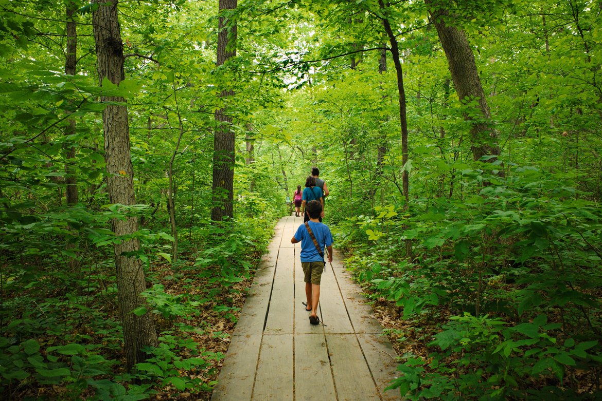 Hiking the woods at starved rock state park photographed by luxagraf