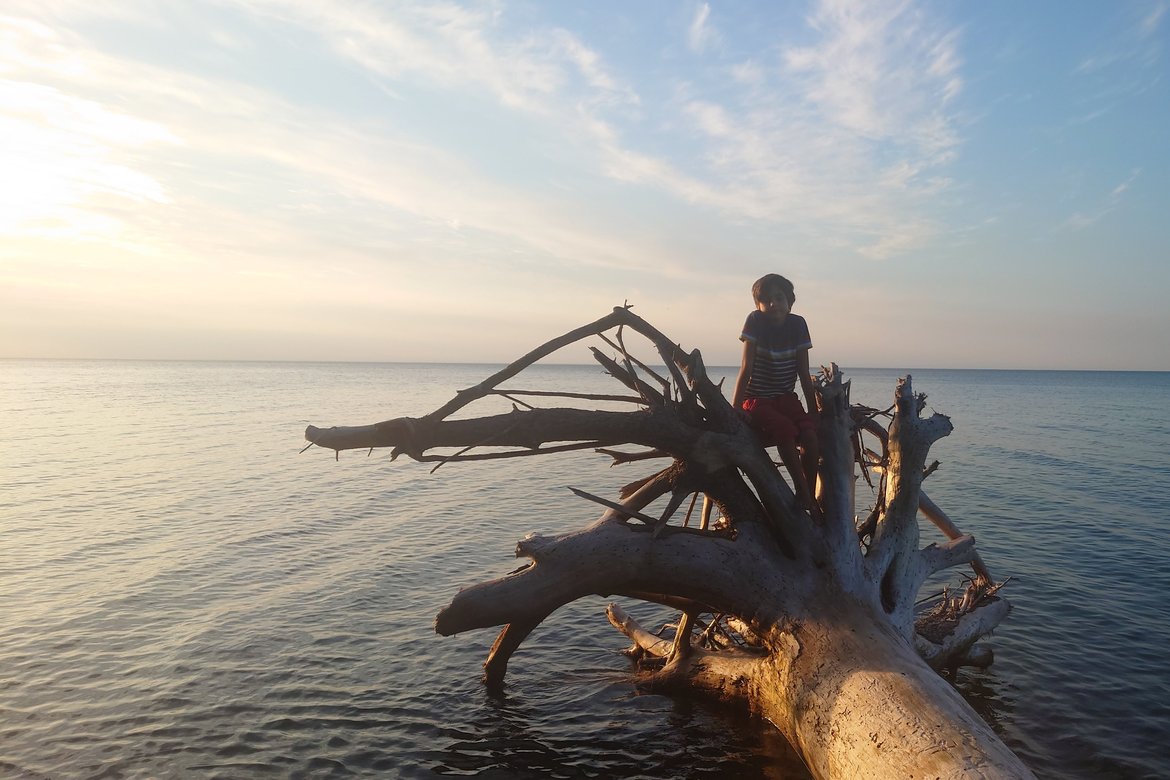Boy sitting on a fallen tree in lake superior photographed by luxagraf