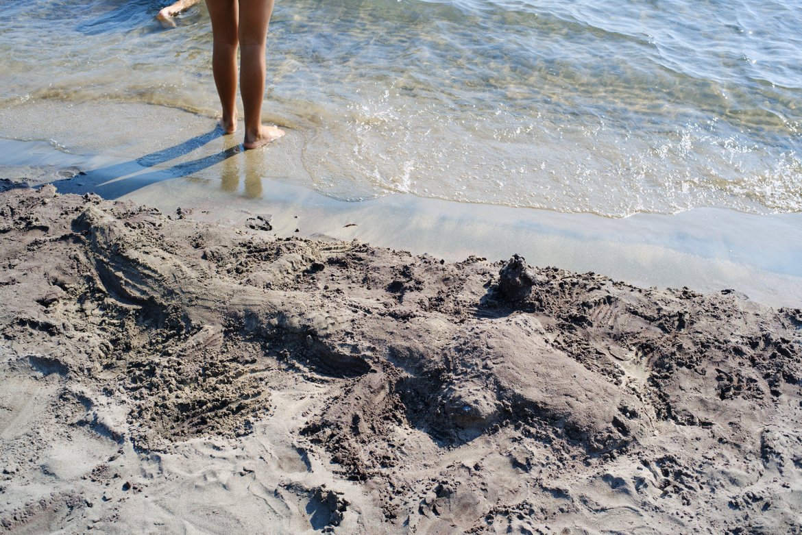 alligator sand sculpture photographed by luxagraf