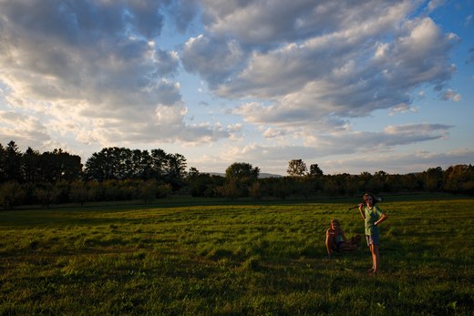 playing baseball in the evening light, wrights farm photographed by luxagraf