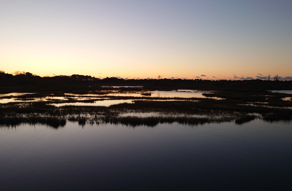 assateague marshes at dawn photographed by luxagraf