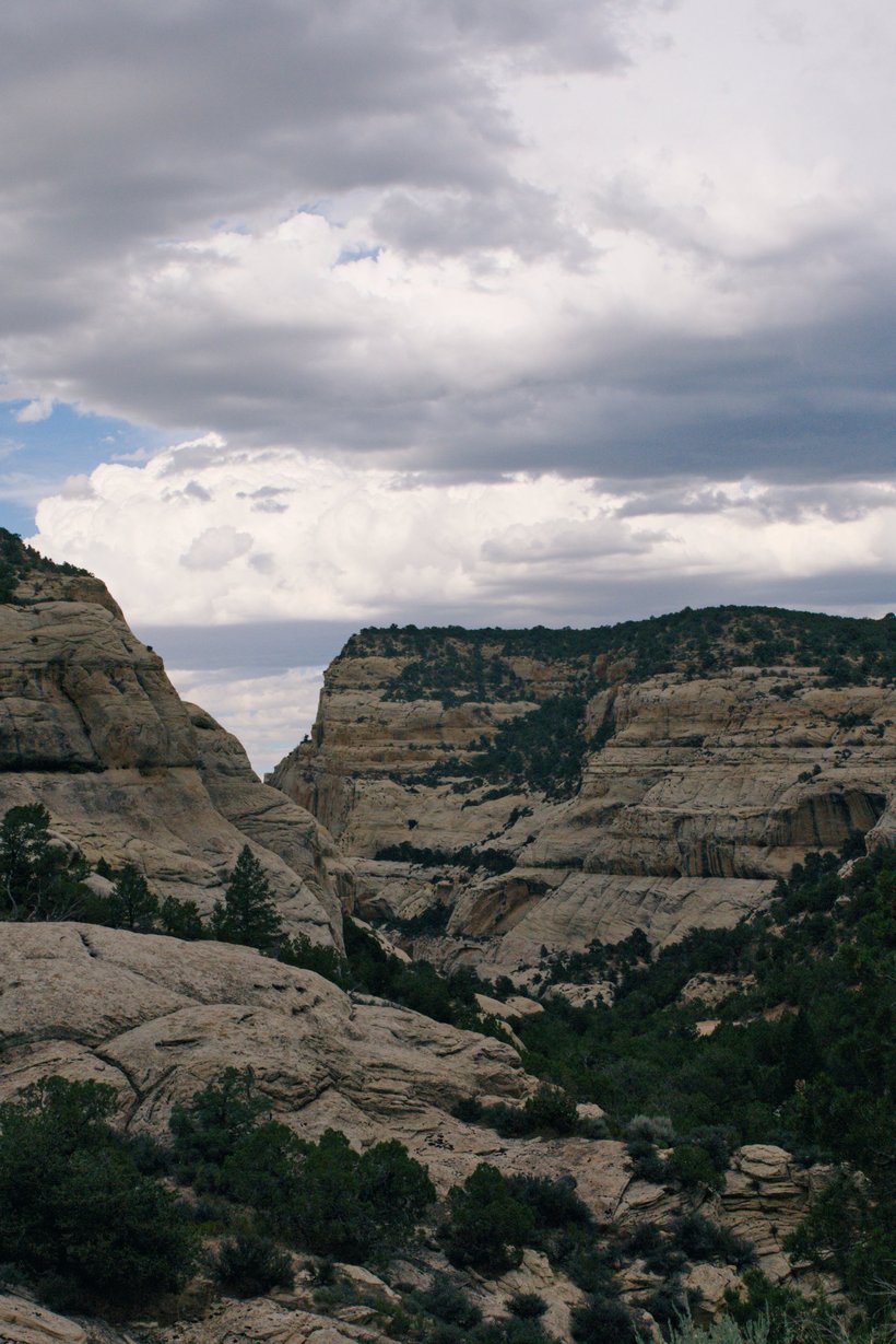 Canyon country of Dinosaur National Monument, Colorado. photographed by luxagraf