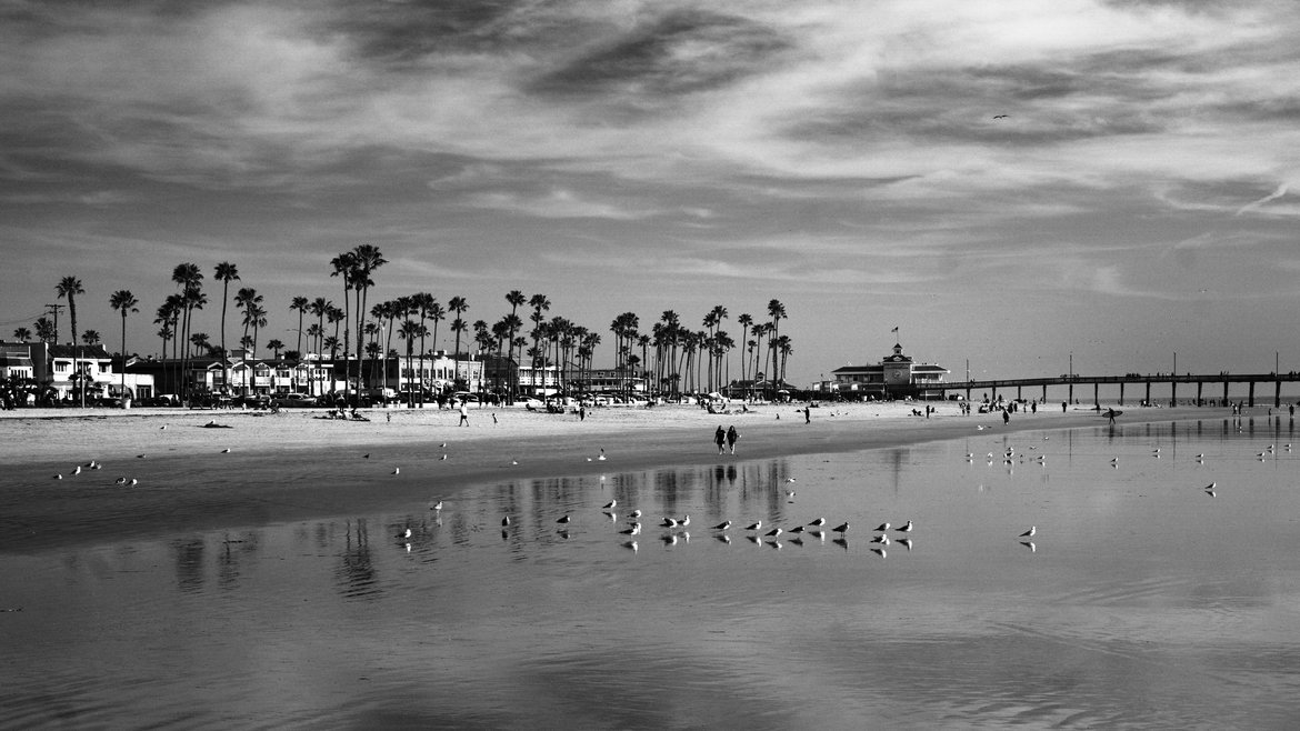 black and white image of newport beach pier photographed by Scott Gilbertson