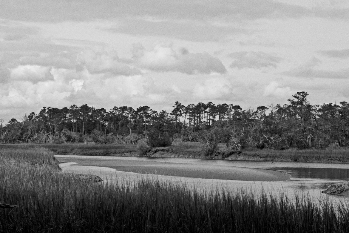 marshes west of botany bay photographed by luxagraf