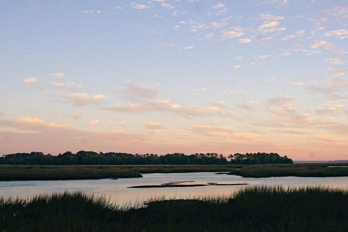 marshes near botany bay photographed by luxagraf