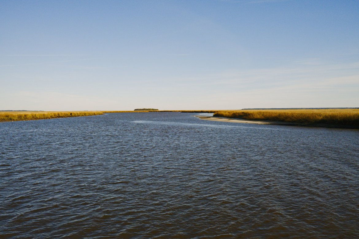 marshes of fort mcallister photographed by luxagraf