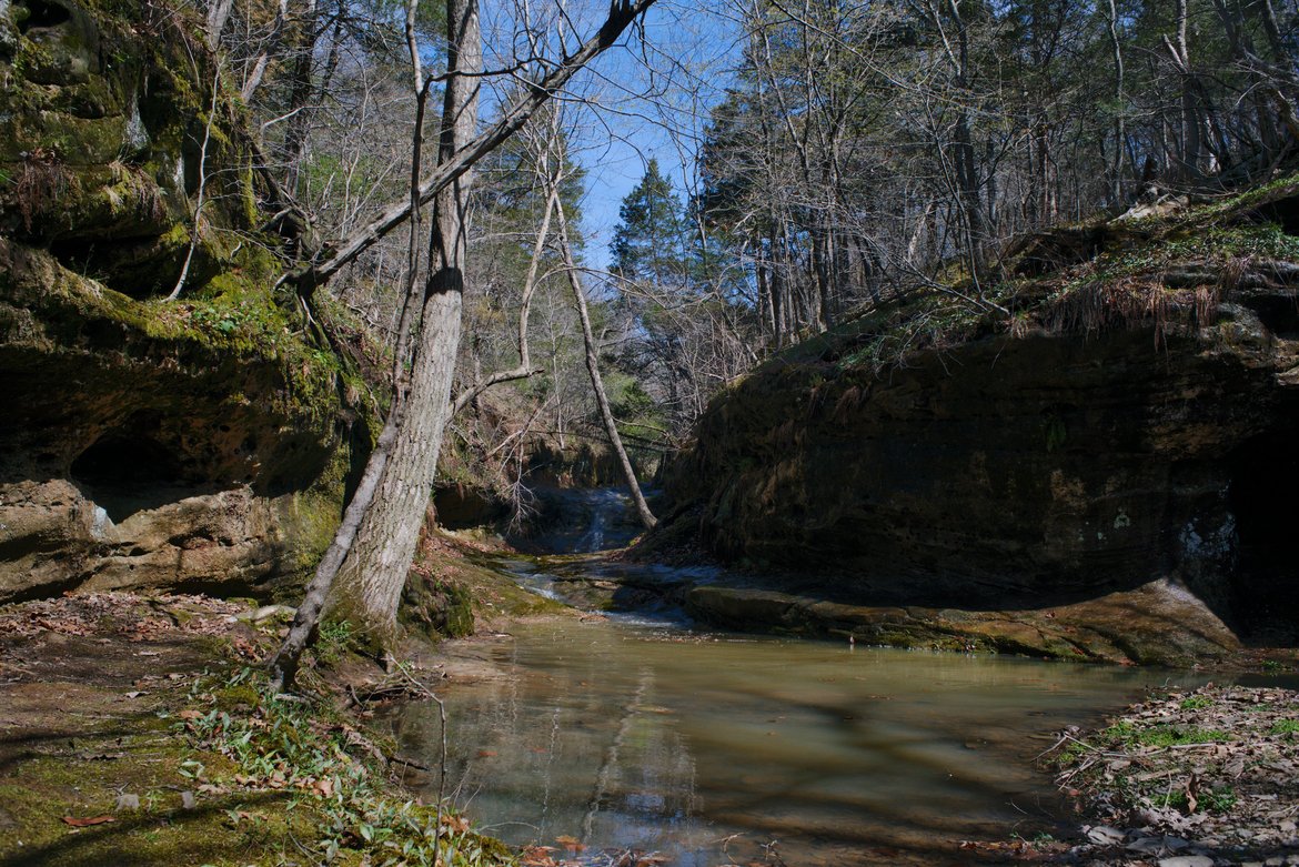 stream bed and pools, ferne clyff state park photographed by luxagraf