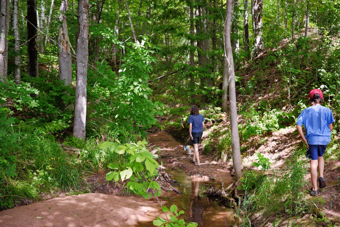 walking the dog up the creek, washburn wi photographed by luxagraf