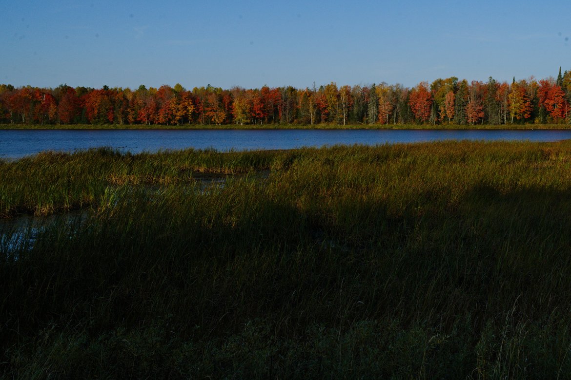 fall colors in wisconsin, wi photographed by luxagraf