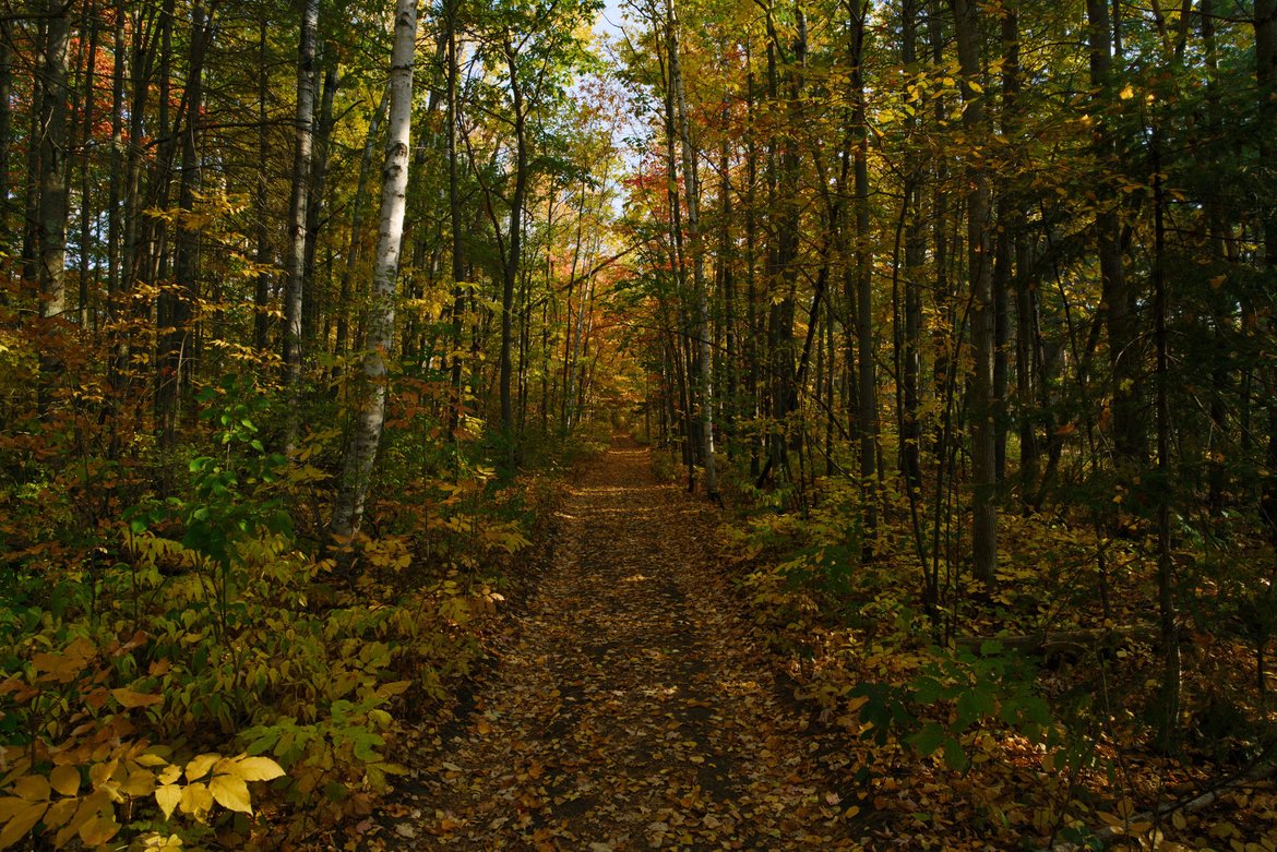 fall colors on the trail to houghton falls, washburn, wi photographed by luxagraf