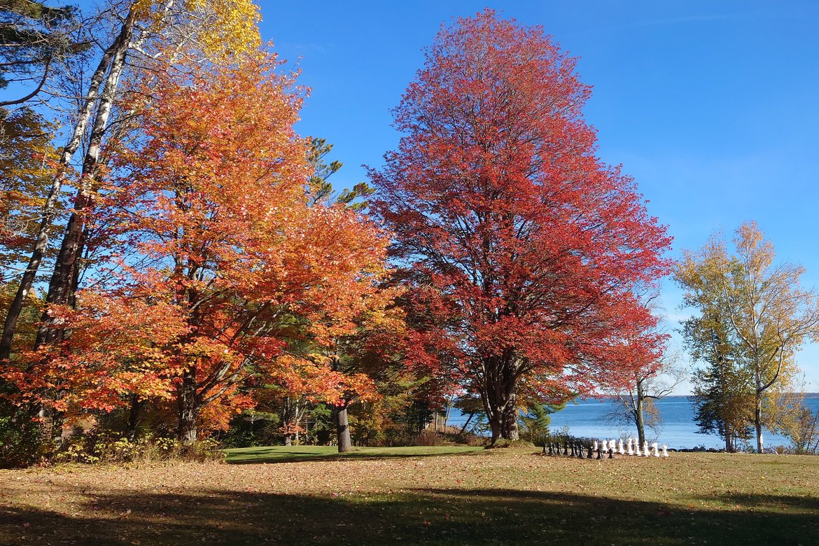 fall colors in washburn, wi photographed by Scott Gilbertson