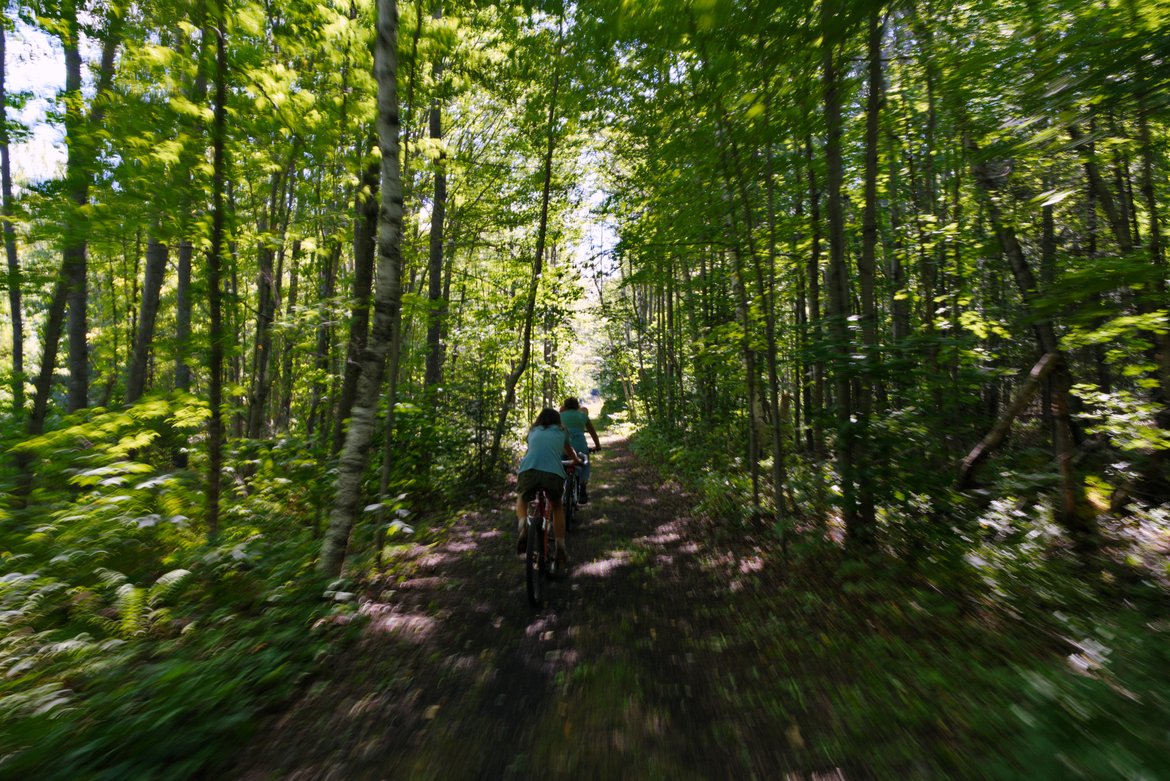 kids riding bikes through the woods photographed by Scott Gilbertson