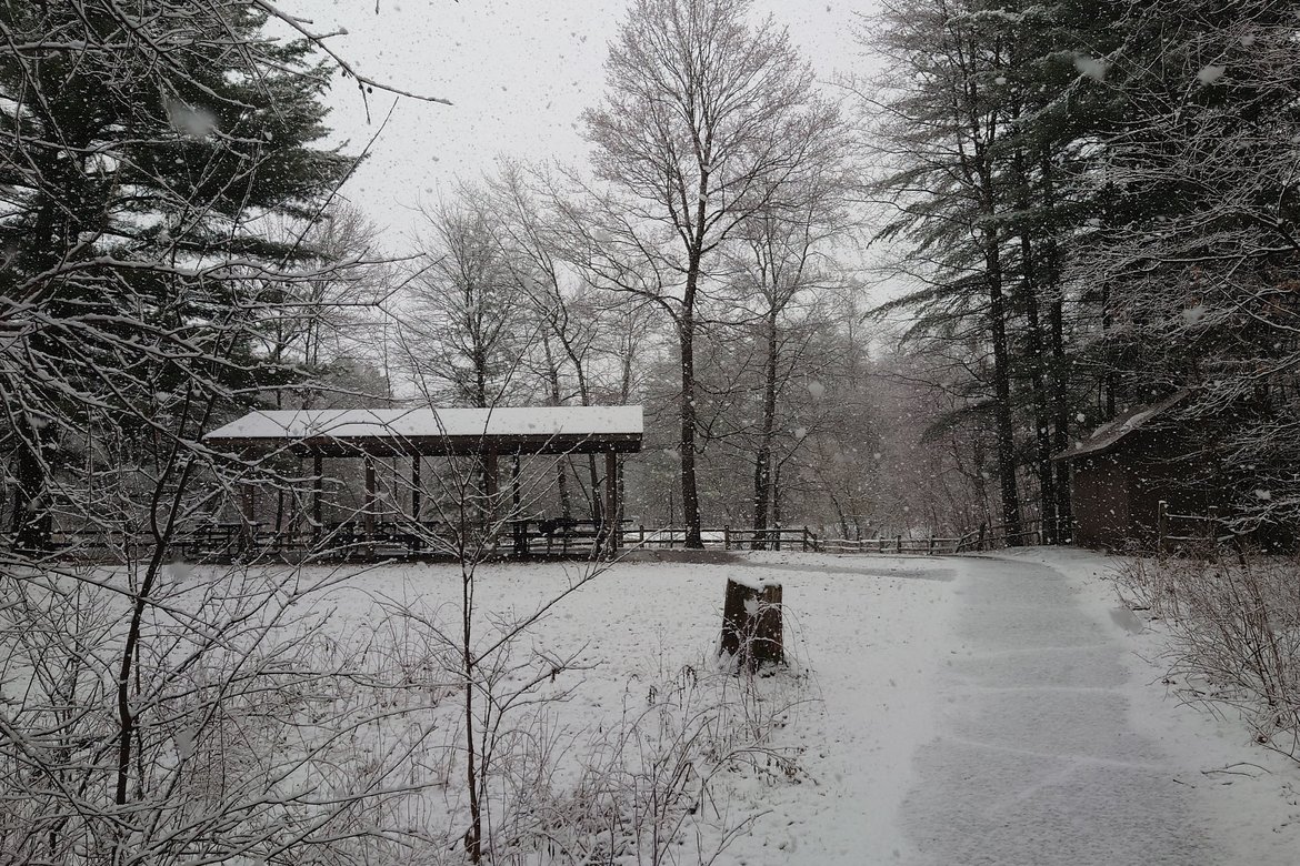 snow at hartman creek state park, WI photographed by Scott Gilbertson