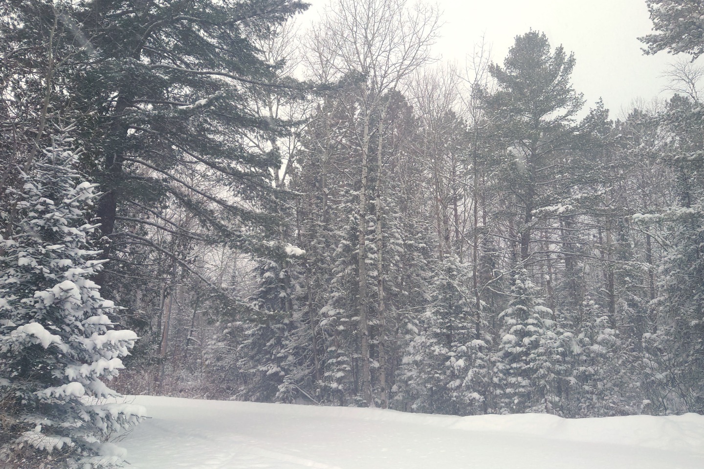 snow falling photographed by Scott Gilbertson