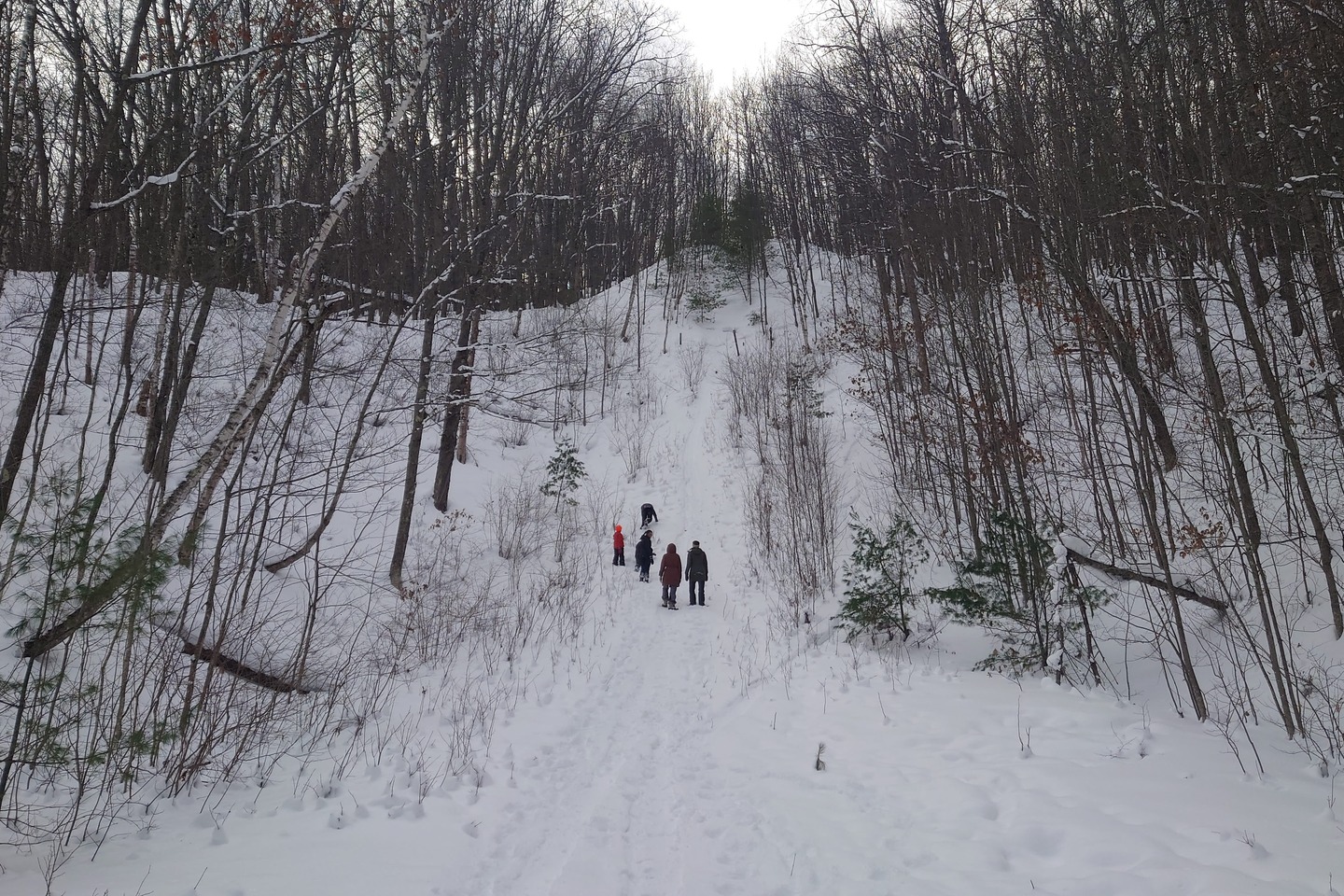 hiking in the snow by Scott Gilbertson