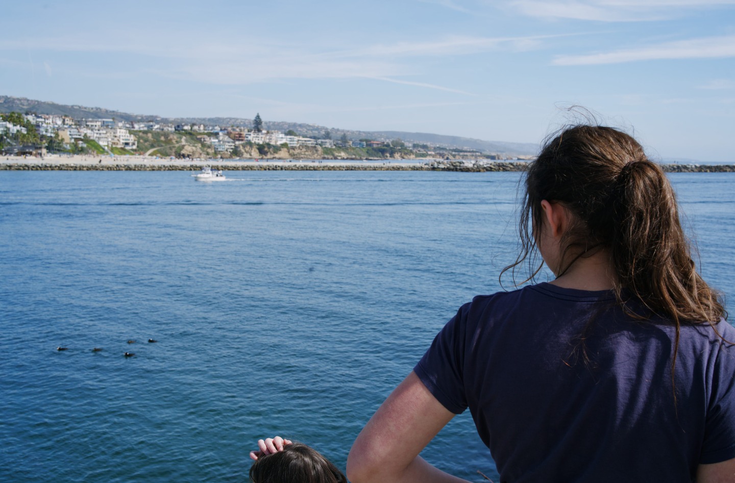 girl watching birds swim in the harbor by Scott Gilbertson