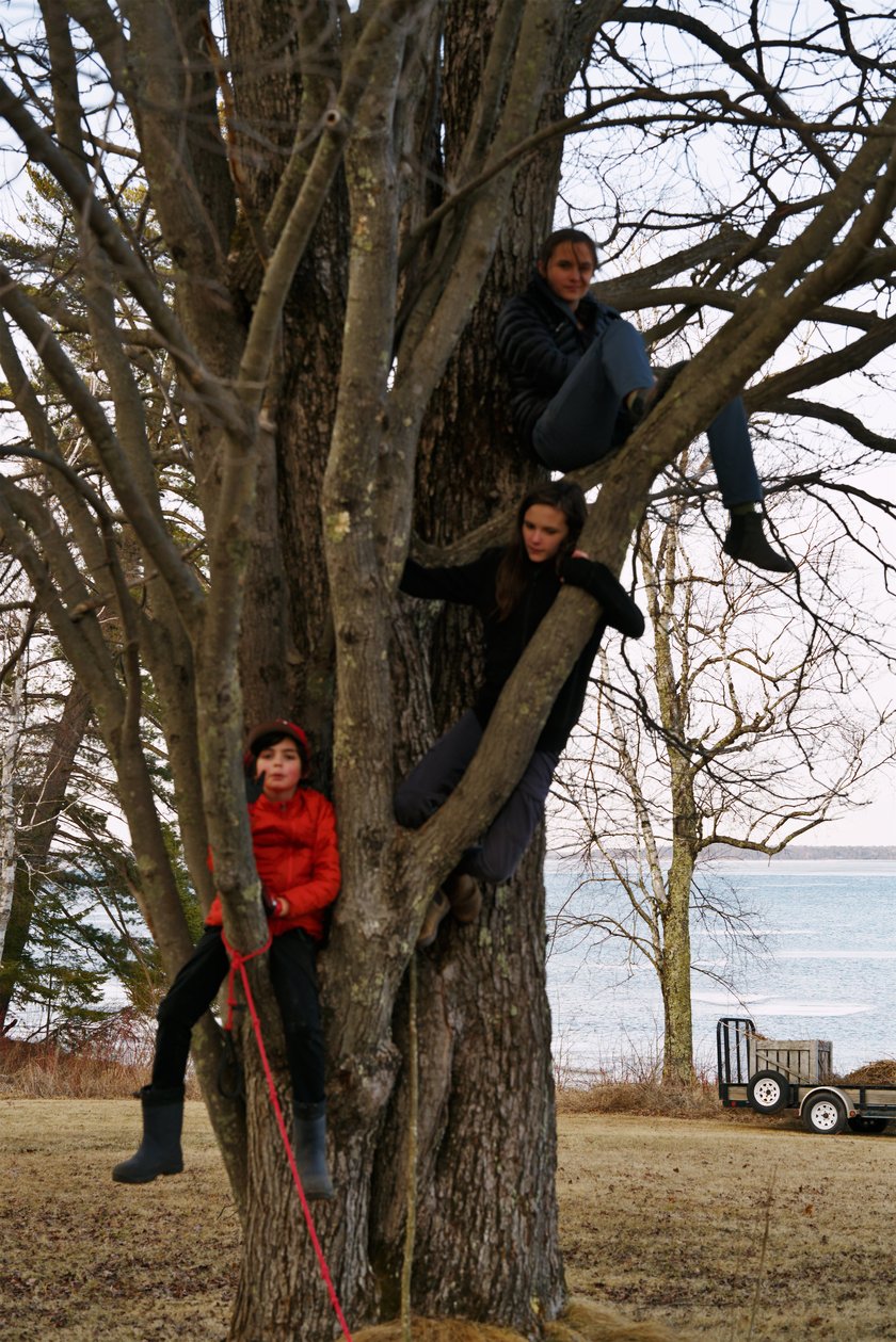 kids sitting in a tree by Scott Gilbertson