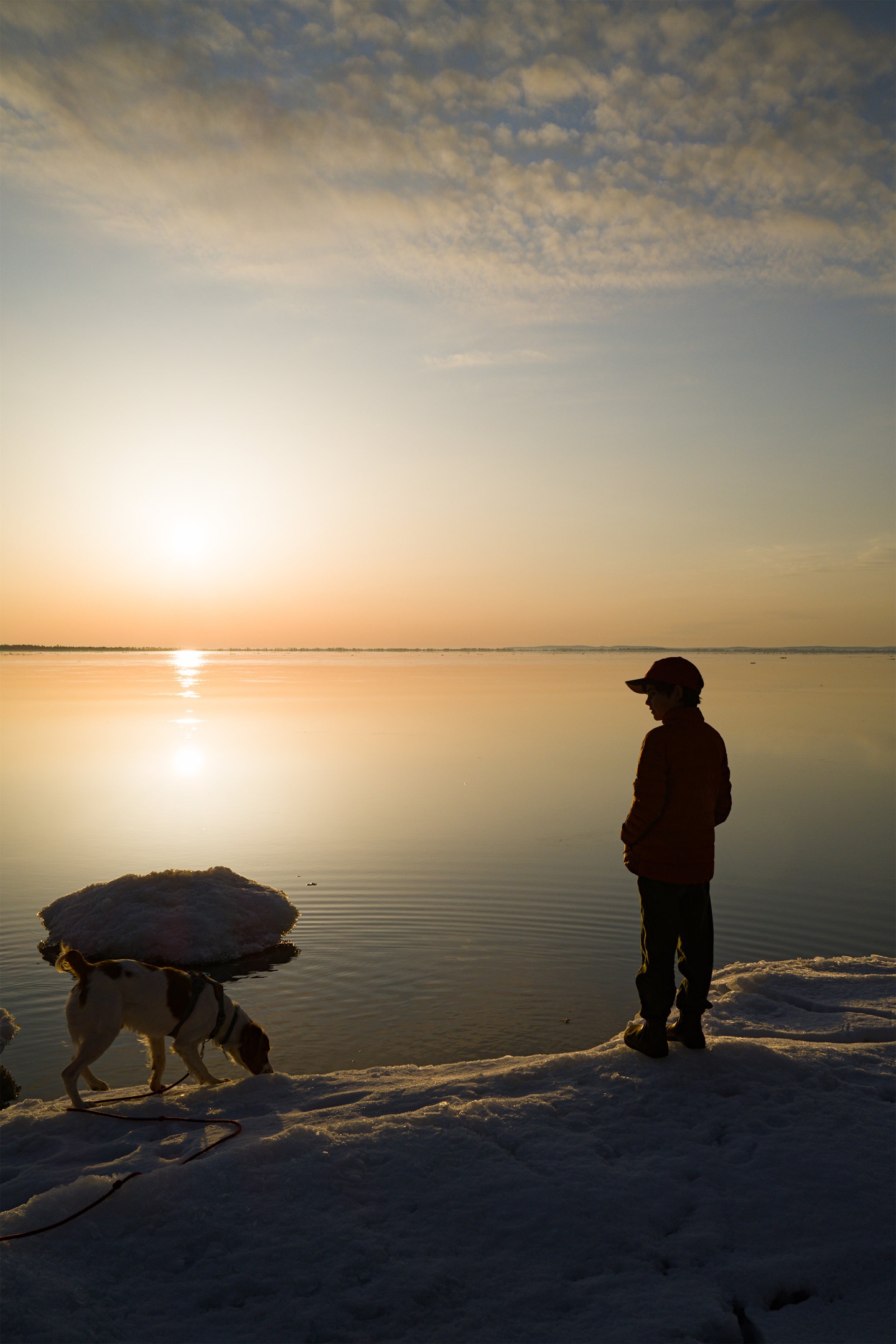 boy and dog on the lakeshore, backlit by sunrise by Scott Gilbertson