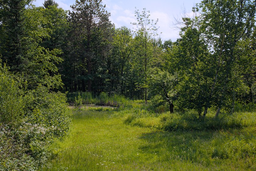 One of the meadows at our new house by Scott Gilbertson