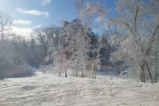 sunny and cold snowy day photographed by Scott Gilbertson