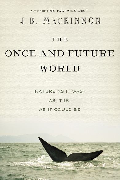 The Once and Future World cover