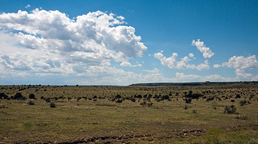 Comanche National Grasslands