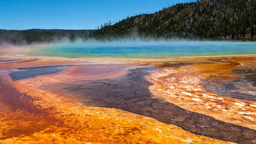 The Endless Crowds of Yellowstone