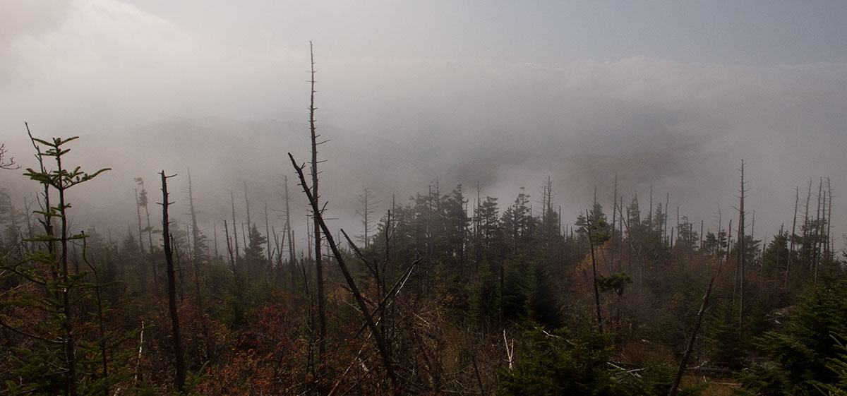 Great Smoky Mountains National Park