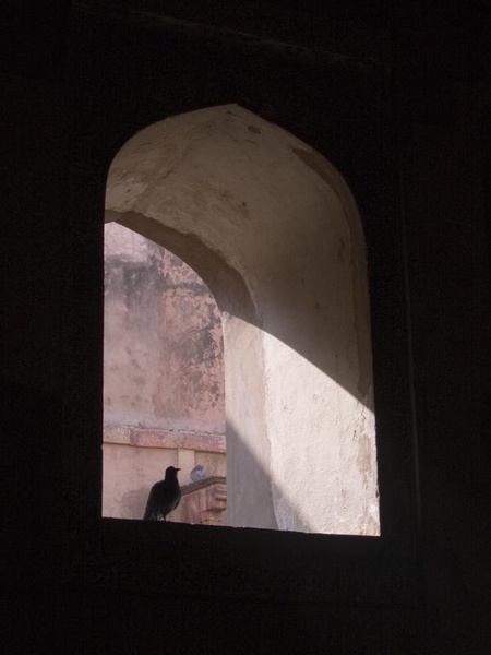 India-Agra Fort Taj Mahal_12_08_05_08