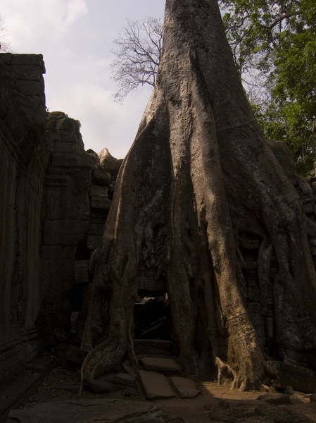 Cambodia_Angkor Wat_3_18-20_06_015