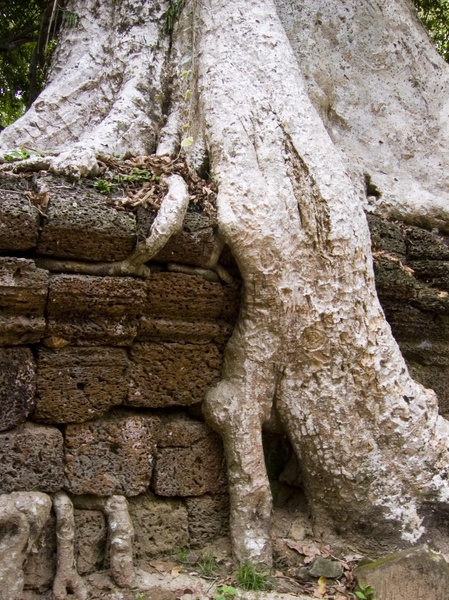 Cambodia_Angkor Wat_3_18-20_06_020