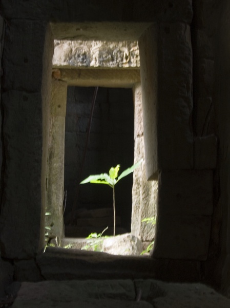 Cambodia_Angkor Wat_3_18-20_06_027